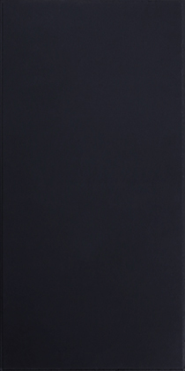 EchoGuard Fiberglass Black Tegular Ceiling Tile 2x4 - Box of 10